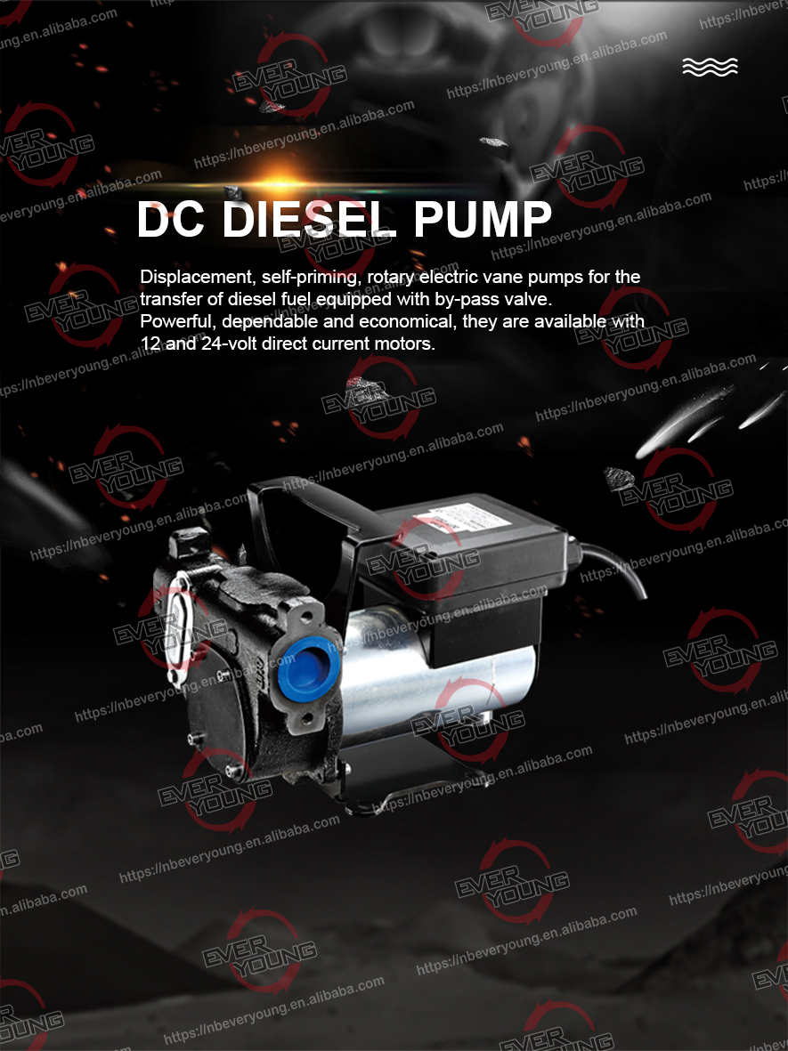 Electric Fuel Pump 12V/24V Diesel Transfer Pump Double Flow Rate Electric Oil Transfer Dispensers Pump