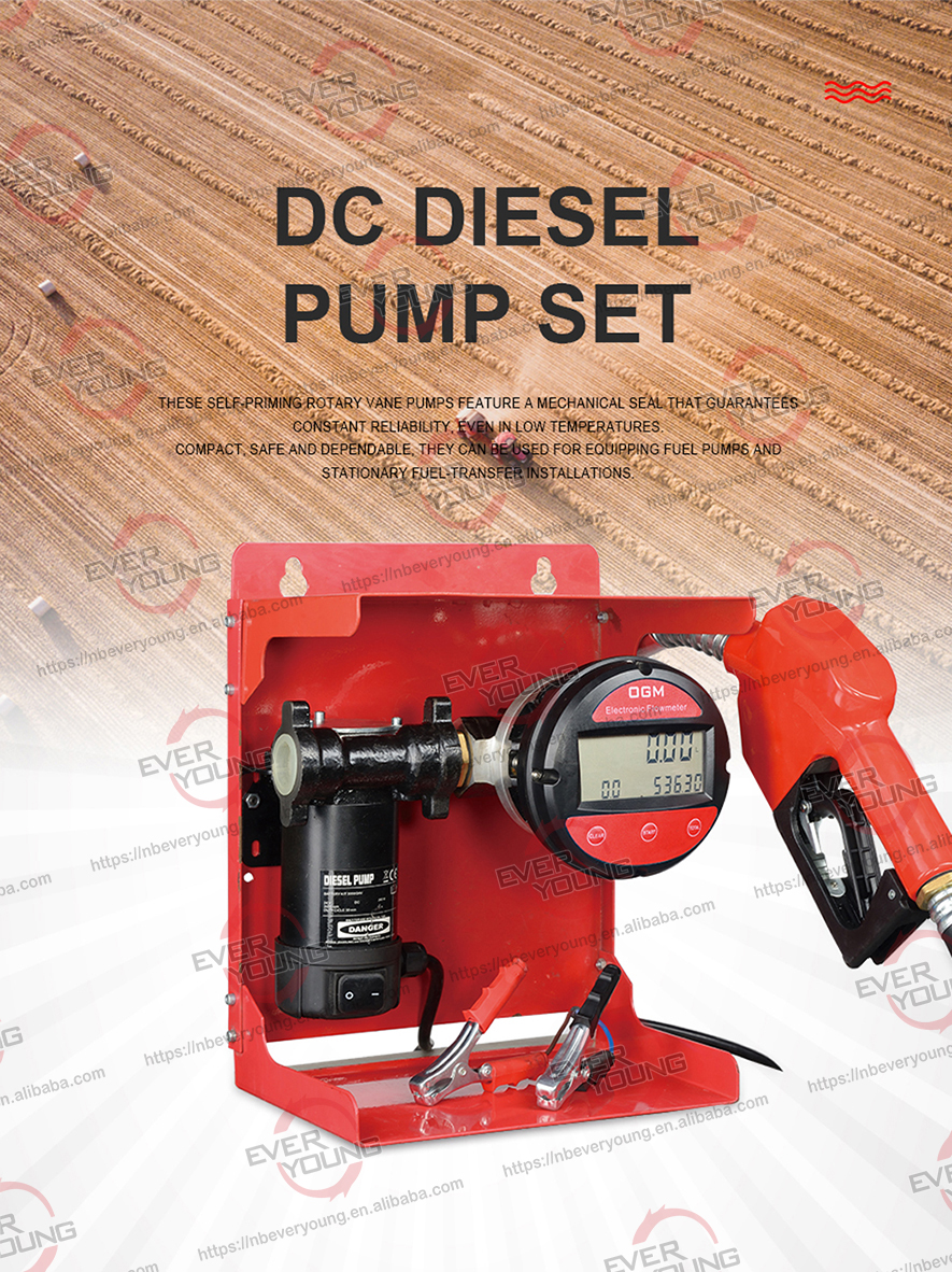 12 Volt DC Diesel Pump Set with Meter Automatic Gun fuel transfer pump kits