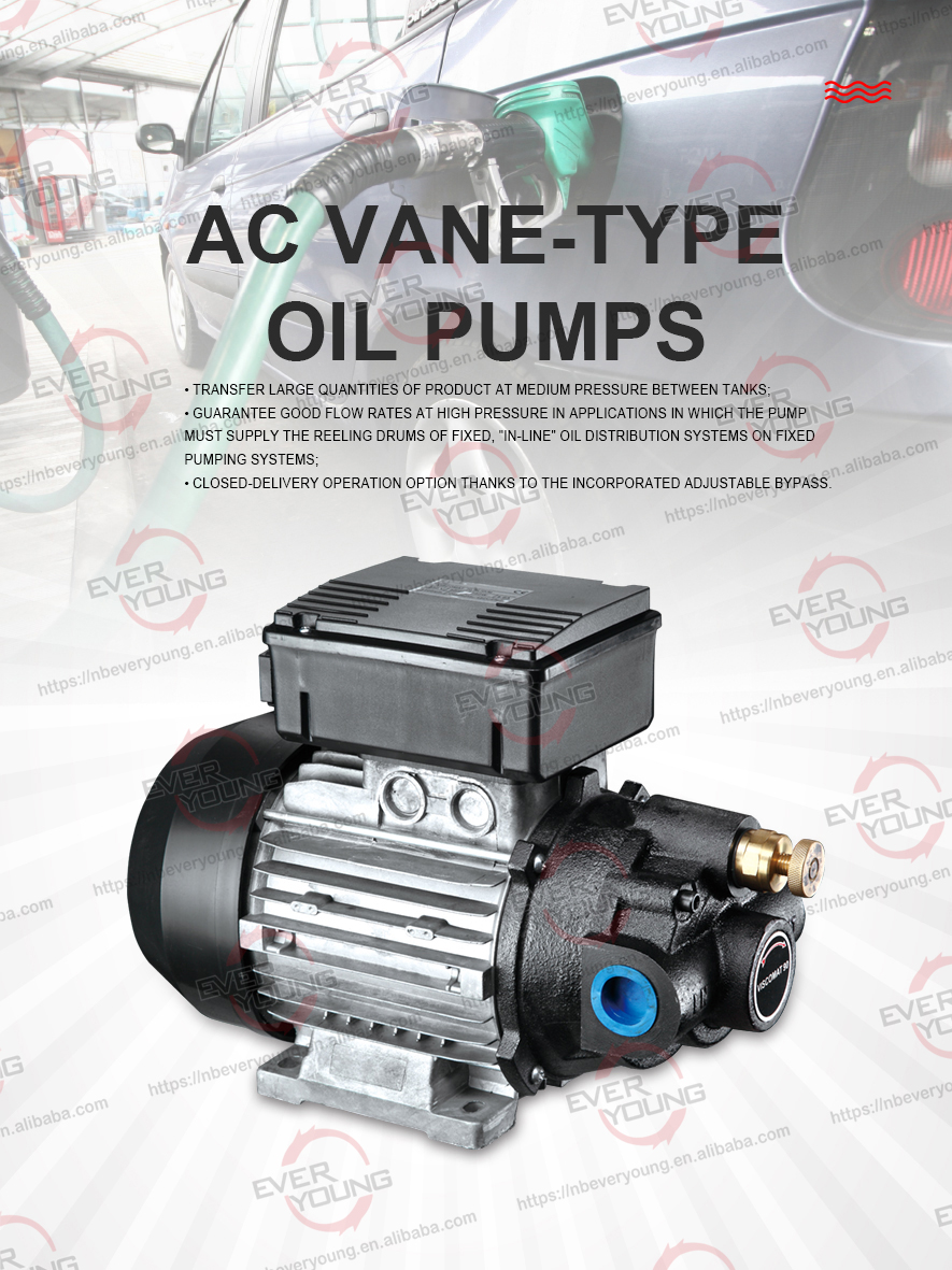 Oil transfer Pump 750W 25L/min vane pump CE certification electric oil pump