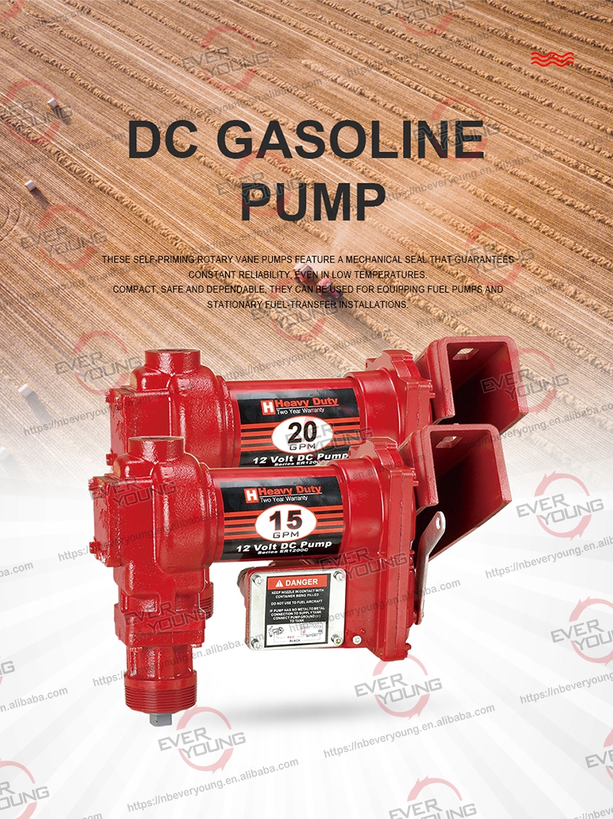 12v Electric Fuel Transfer Pumps 20 GPM high flow gasoline transfer pump for Fuel Dispenser