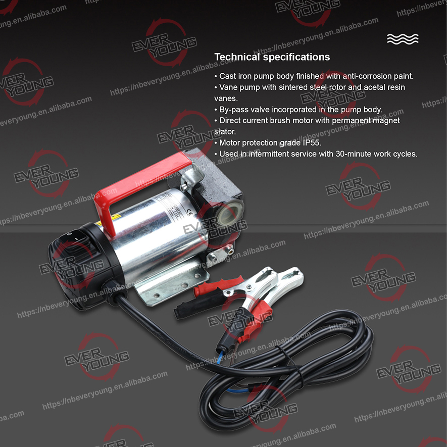 Portable diesel pump electric 12v Dc Diesel Fuel Transfer pump
