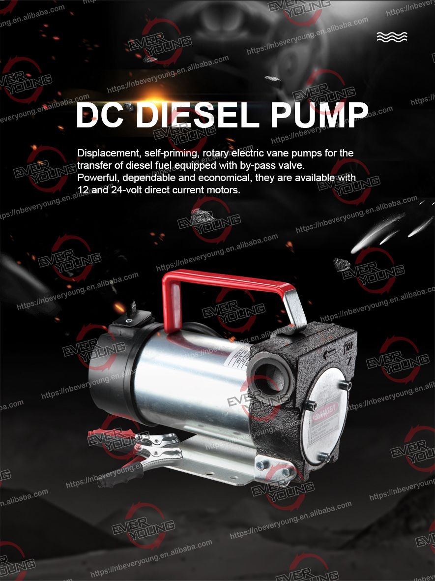 Portable diesel pump electric 12v Dc Diesel Fuel Transfer pump