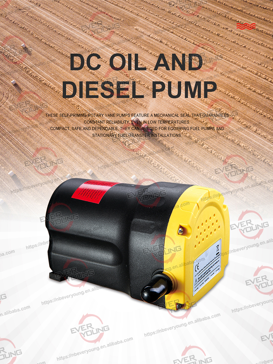 Oil pump transfer 2L/min 12V lubricant oil pump Electric