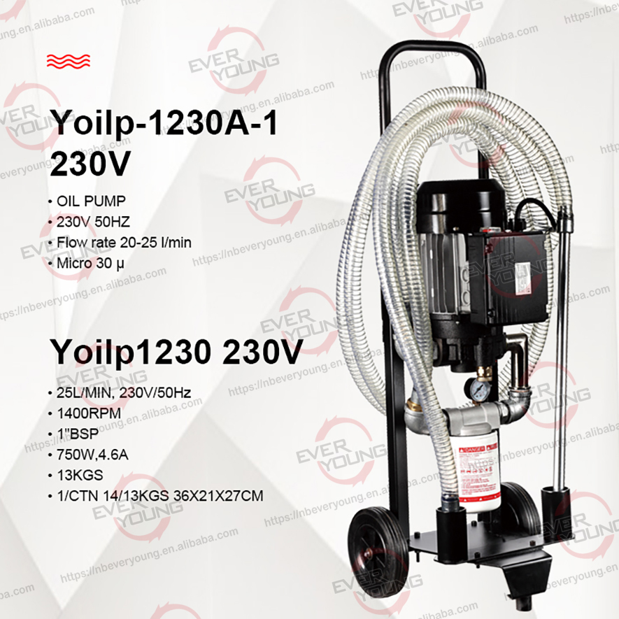 Vane type oil transfer pump set with filter 230V Lubricant transfer pump Kit