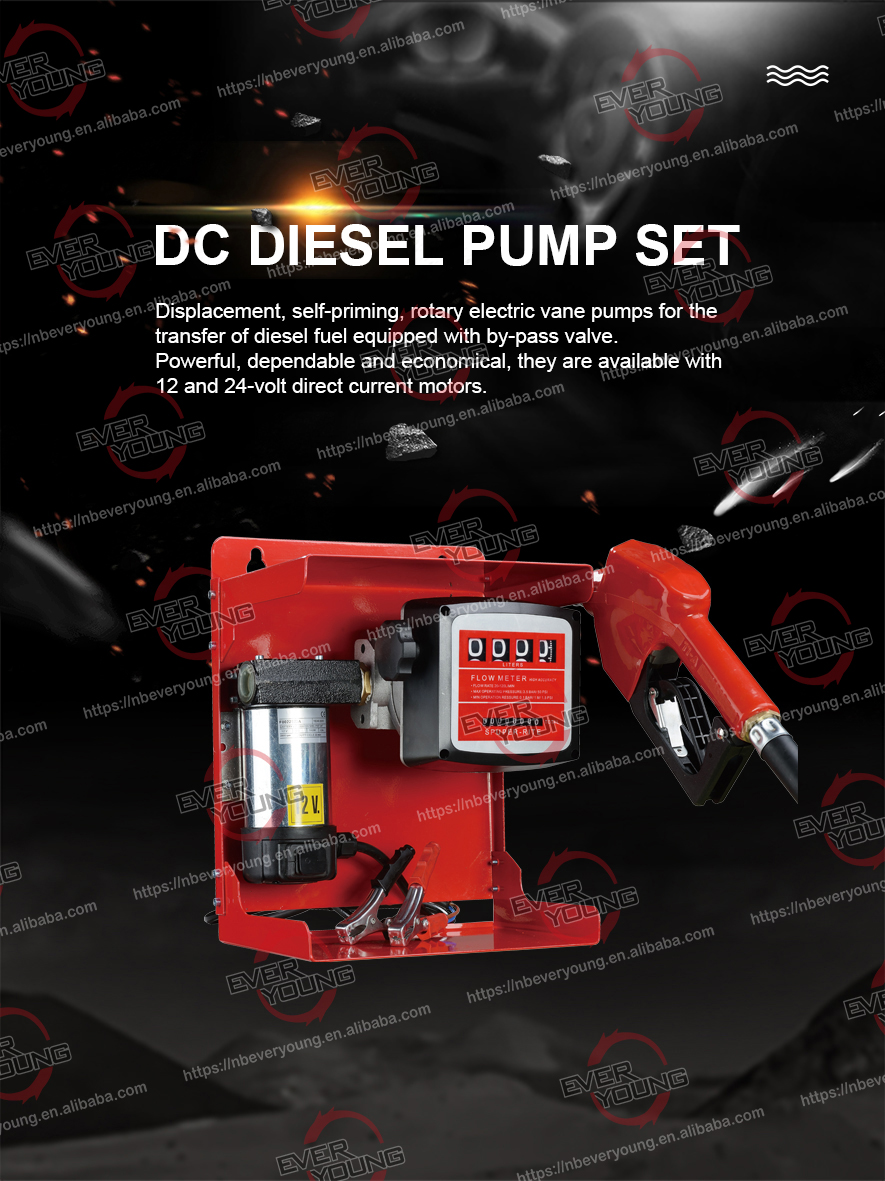 DC Diesel Transfer Pump Kit with CE Fixed Refueling Electric Pump Set with Automatic Gun