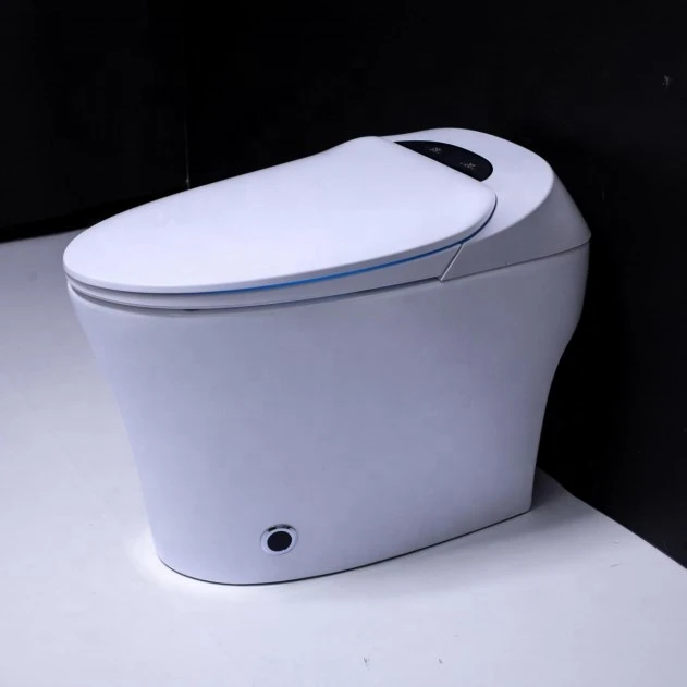 Galaxy Home - Modelo TTS021004B Inodoro inteligente moderno Baño Inodoro  inteligente con limpieza femenina e inodoros con