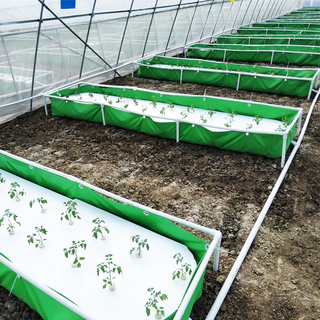 Modern greenhouse aquaponics growing system with aquaculture and hydroponics