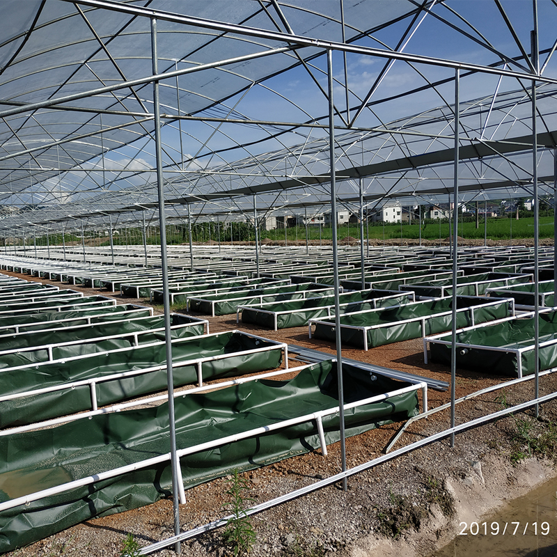 Aquaponics complete system typical engineering fish farm with tank and greenhouse commercial Hydroponics system