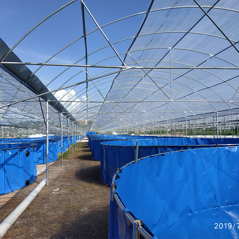 Aquaponics complete system typical engineering fish farm with tank and greenhouse commercial Hydroponics system