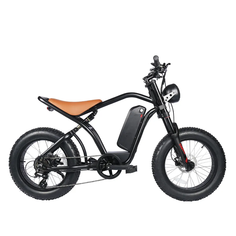 Custom Harley Electric Bike Manufacturers & Suppliers | Ezreal Bike