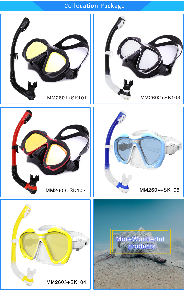 Whale MK-2600 cost-effective wide range diving mask tempered mirror glass double lens strong texture diving goggles