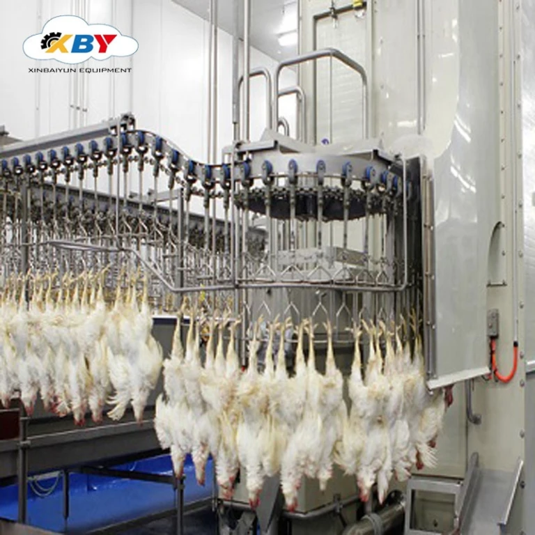 Eruis - Used to Poultry chicken duck goose abattoir machine