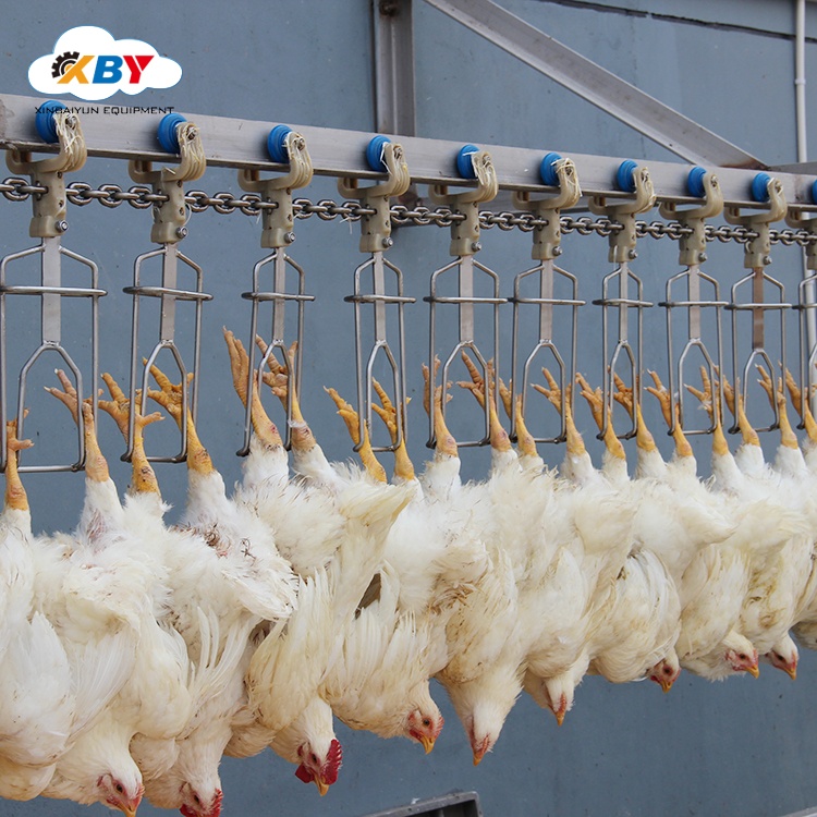 Efficient and Compact Chicken Slaughter Solutions: Automatic Container Slaughtering  Machines for 200/300/500 Birds