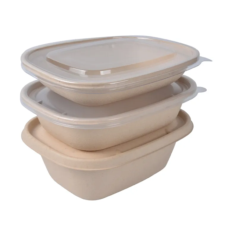 Sushi Catering Take Out Party Plastic Food Containers With Lids 1300ml