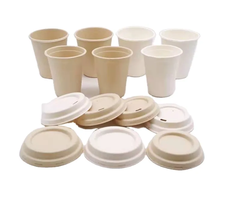 Fabricante y proveedor de platos de papel desechables 100% biodegradables  personalizados de China