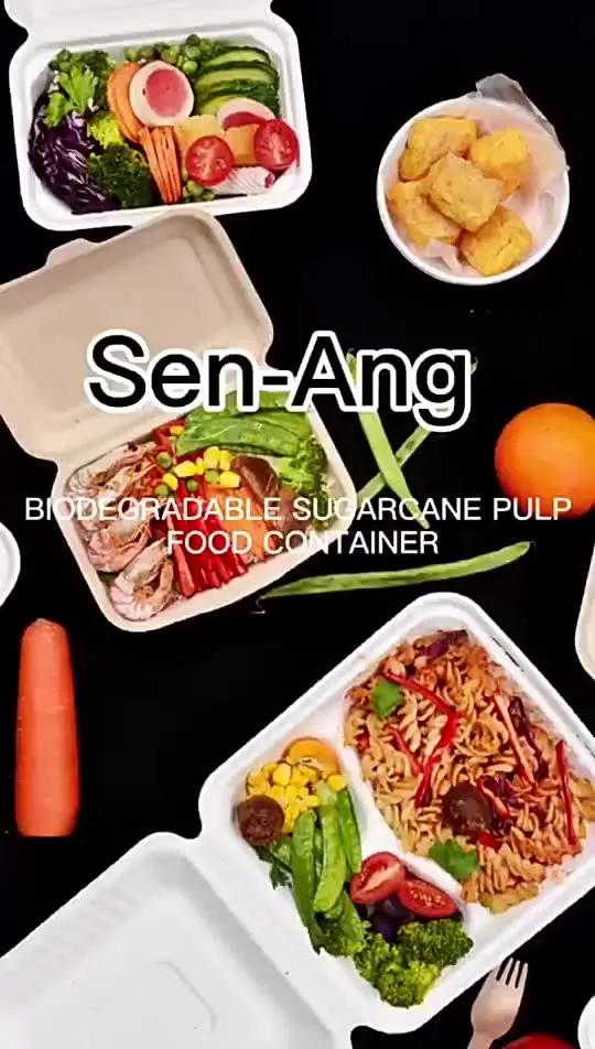 Restaurante de comida para llevar biodegradables desechables envases de  alimentos - China Contenedor de alimentos y Placa desechable precio