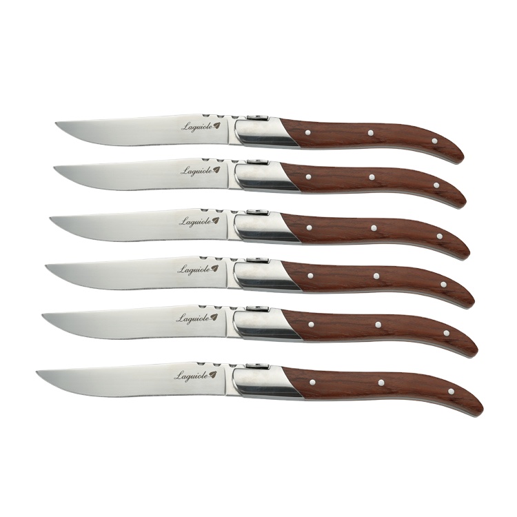 2021 Amazon hot sell steak knife Stainless steel laguiole steak knife with wood block