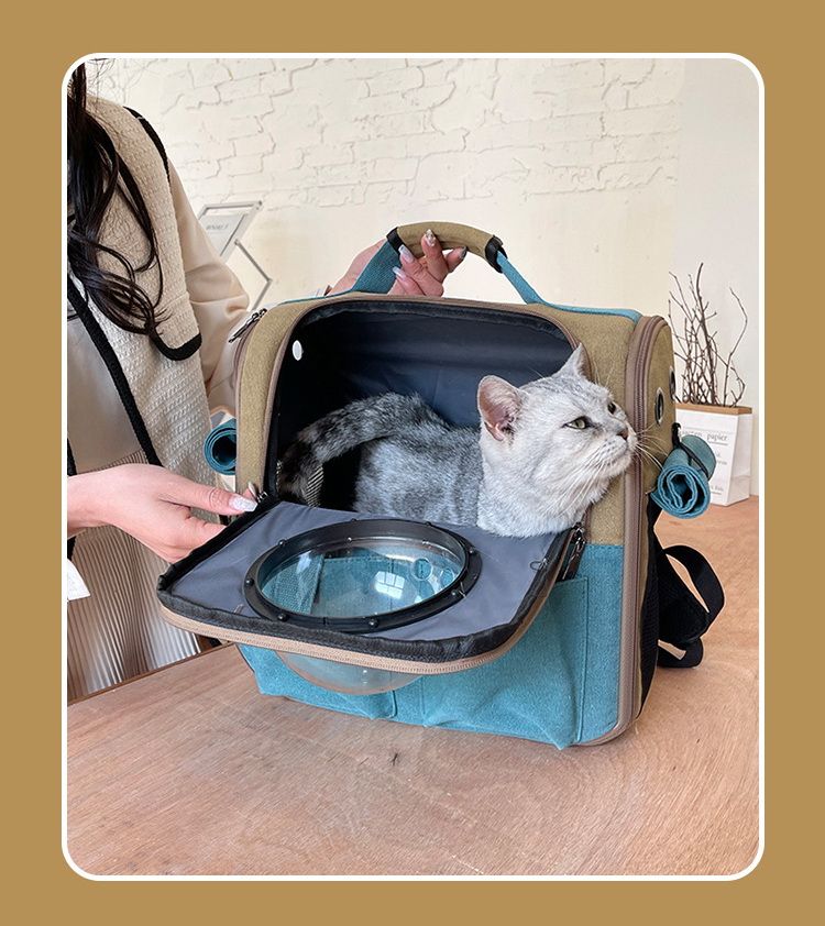 Cats and dogs pets solid color outdoor portable space capsule window backpack space capsule take-out travel pet  bag