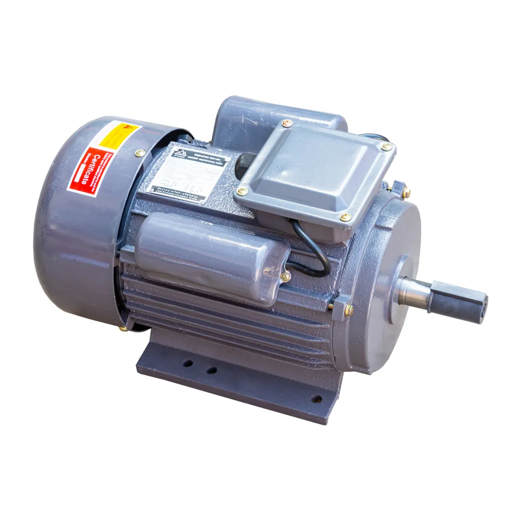 High Quanlity 900W Single-Phase AC Motor for Agricultural Machinery