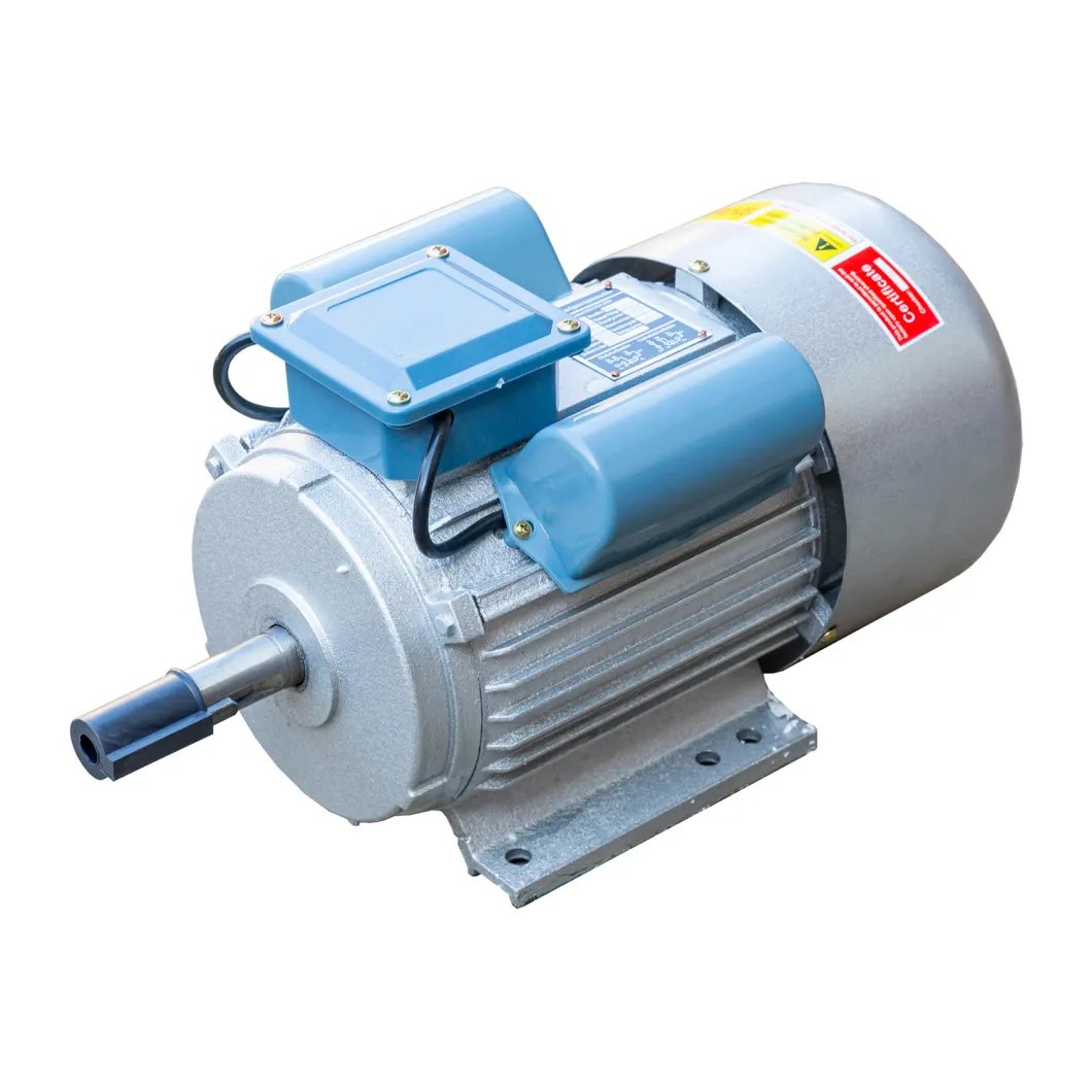 Factory Price 2.8kw Single-Phase AC Motor for Agricultural Machinery