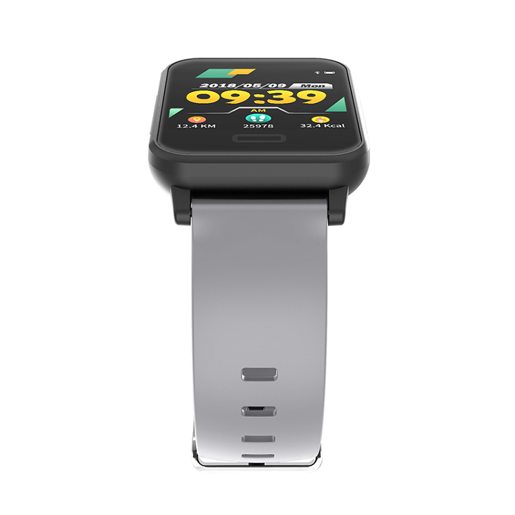 e33 smartwatch