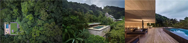 Jungle-House-with-pool