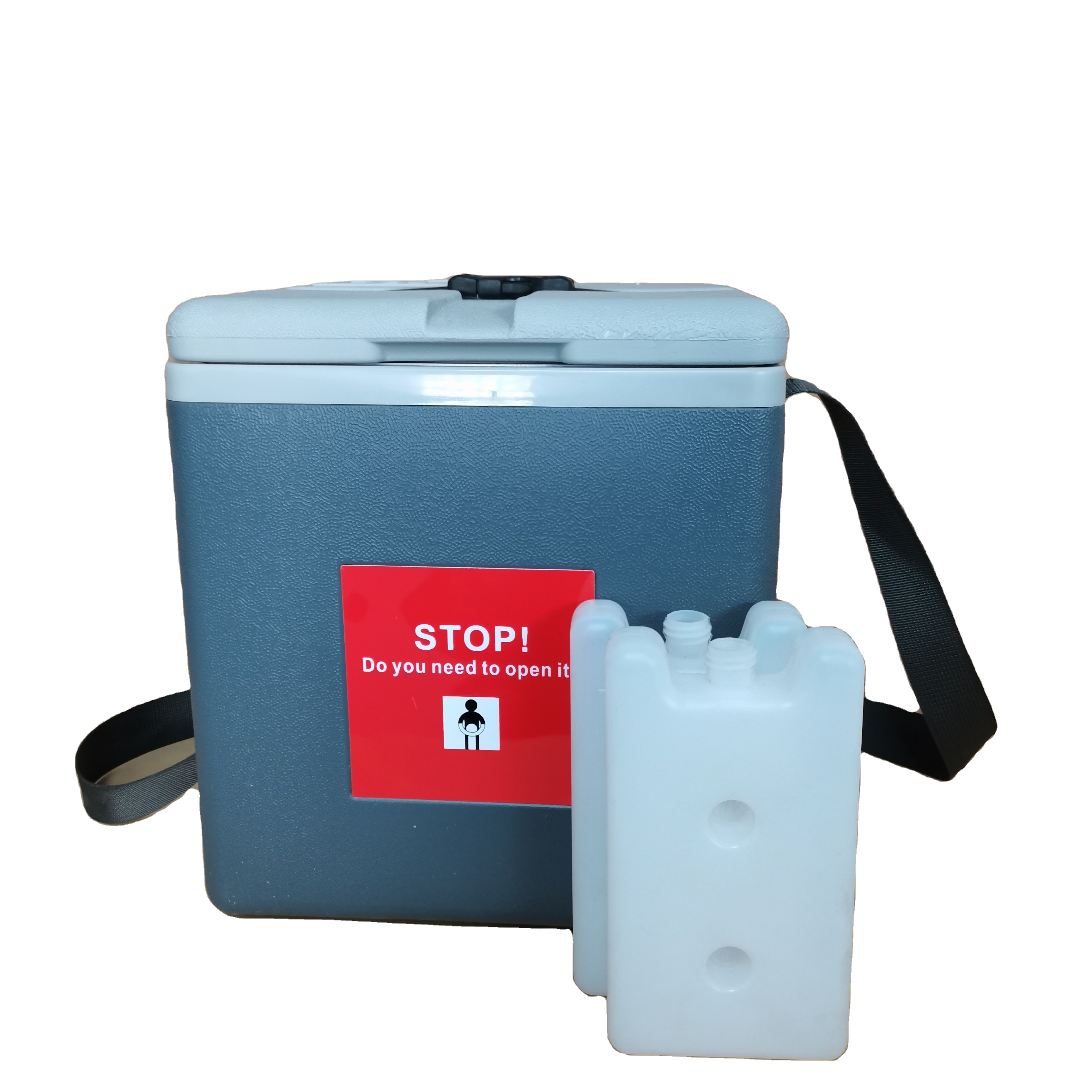 FAIRBIZPS Mini Vaccine Carrier Box with 2 Ice Pack Small Vaccine Storage  Box (0.90 Ltr) Grey at best price.