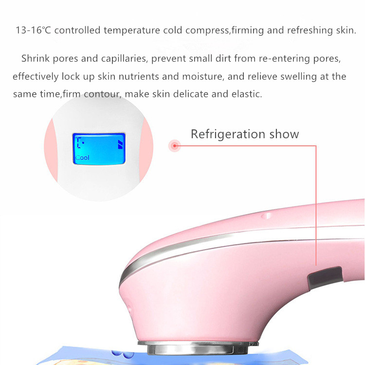 Multi-function Beauty Equipment Skin Care Personal Handheld Medical Stainless Steel Face ABS 5W 1000mah Accept 170*50*50mm