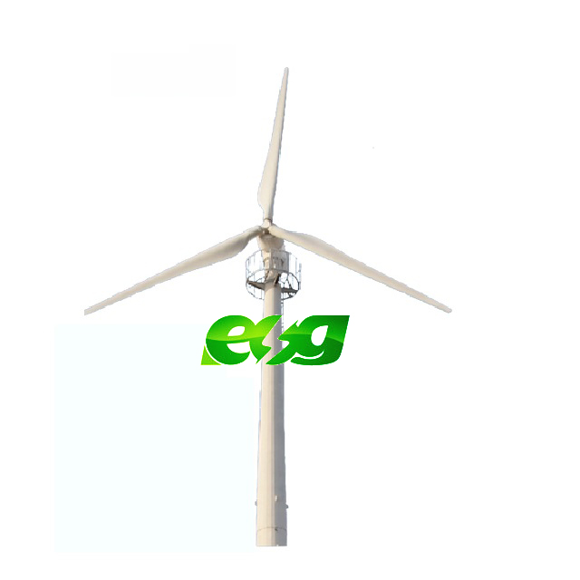 ESG Manufacture 100w200w300w400w500w horizontal wind turbine wind generator