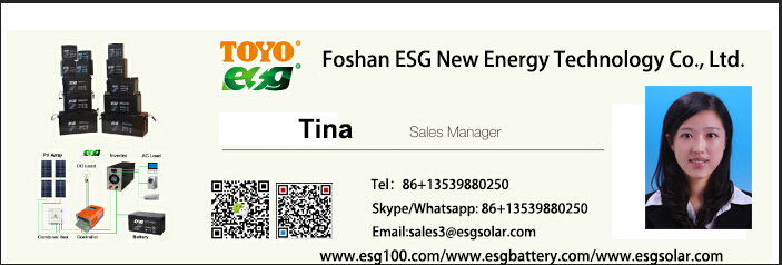 ESG For Energy Storage 12v100ah 200ah 300ah LiFePO4 lithium iron deep cycle Battery