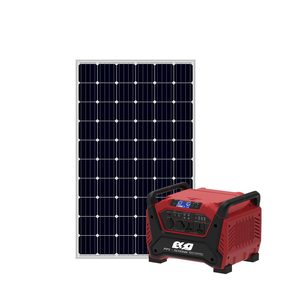 ESG Complete 1kw 24V Solar AC DC power system off grid hybrid home ...