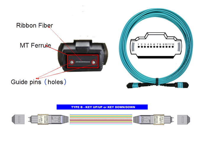 Cable adaptador de fibra óptica OM3 MTP-MTP OM4 12, 40 G, 300 m