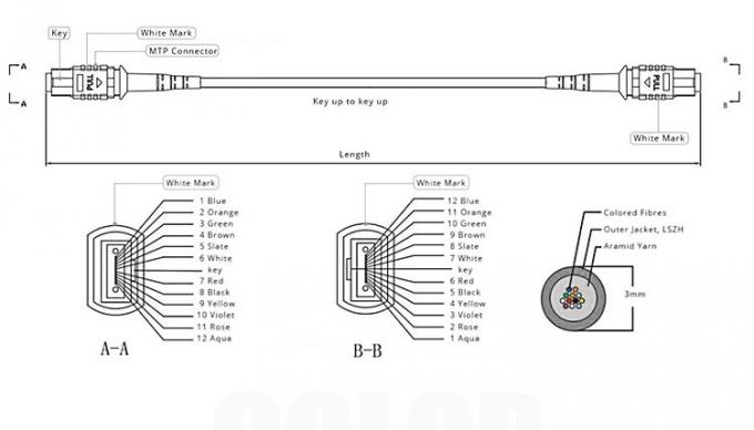 Cable de conexión de fibra óptica OM3 MTP-MTP OM4 12 adaptador de cable 40G 300M 1