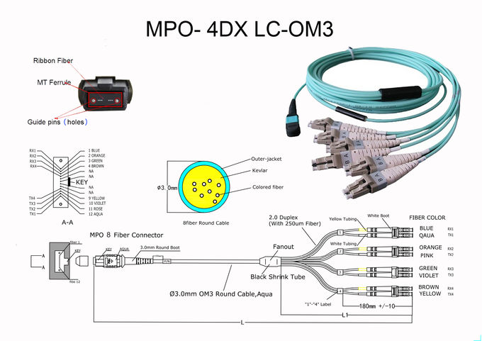 Break Out MTP MPO Patch Cord female to 6 DX LC 12 fiber LSZH type B blue 2