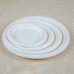 10 Ceramic Plate with Gold Rim (P103) E-2