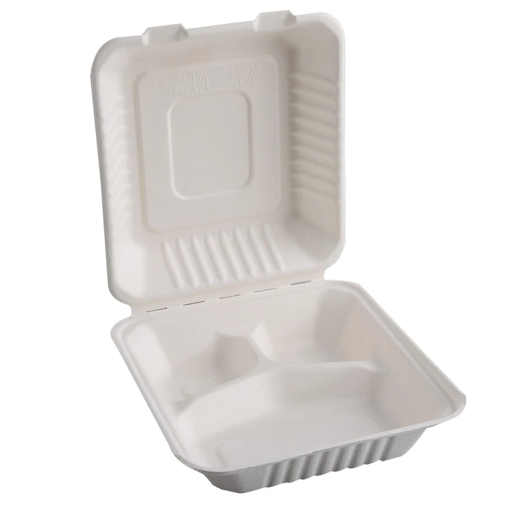 Biodegradable Tableware Togo Boxes for Food 2 Compartments - China  Container Box, Paper Packaging Box