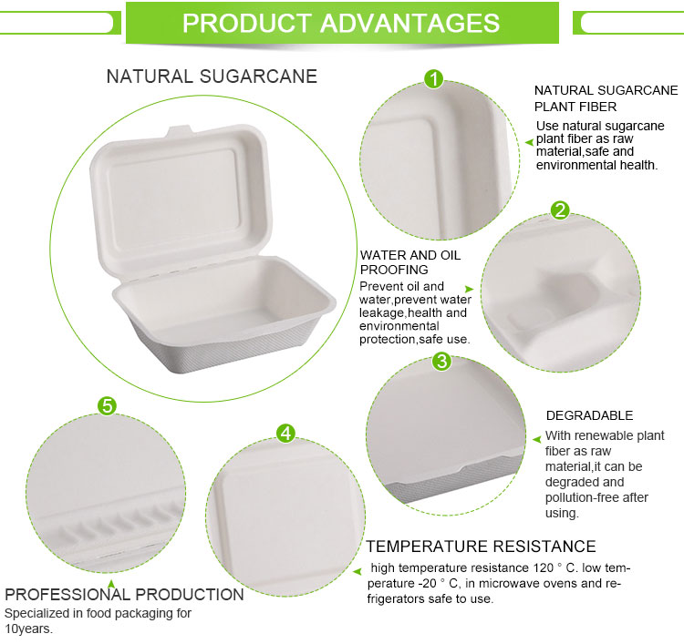Biodegradable take out food Container with Clamshell