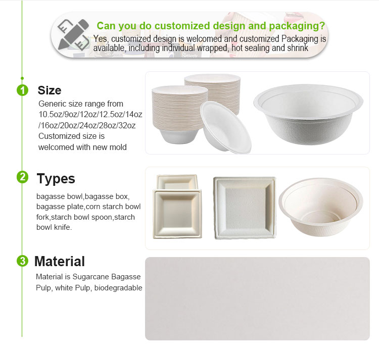 Bagasse pulp tableware compostable bowl biodegradable disposable