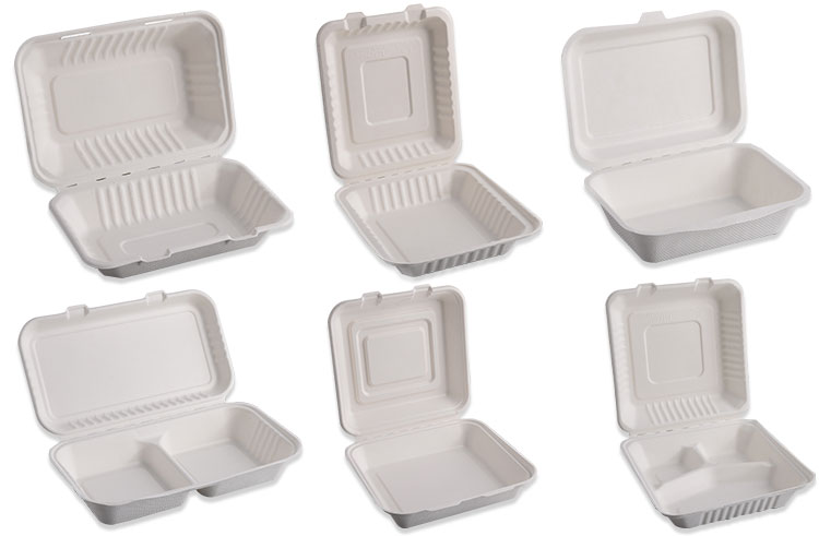 Biodegradable take out food Container with Clamshell