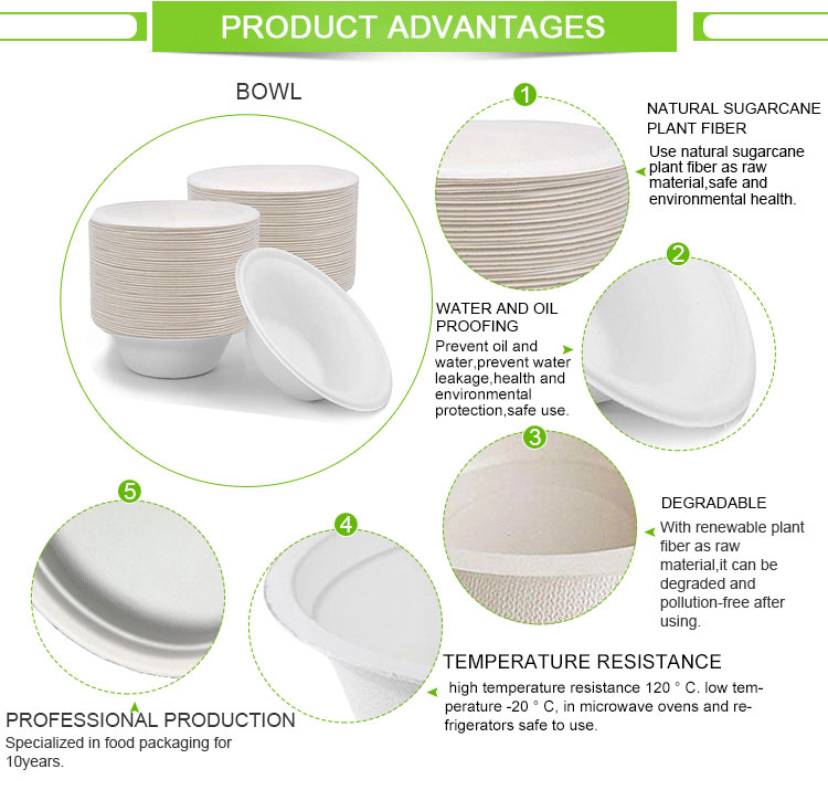 Bagasse pulp tableware compostable bowl biodegradable disposable