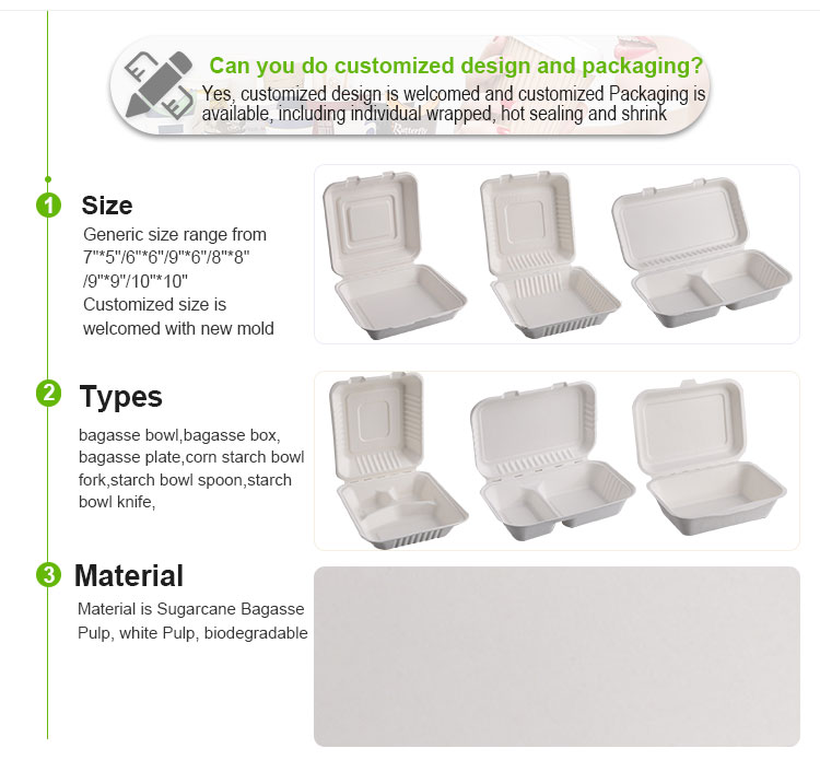 Biodegradable take out food Container with Clamshell