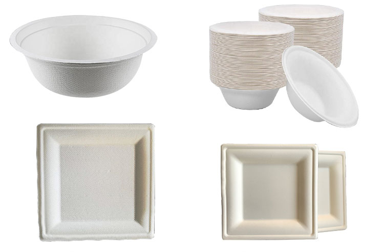 Bagasse pulp tableware compostable bowl biodegradable disposable