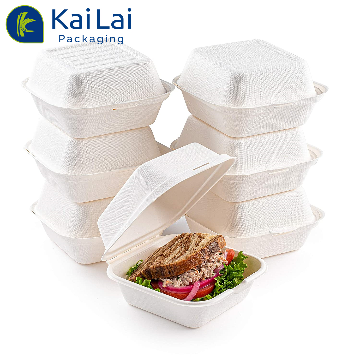 Biodegradable 6X6 Take out Food Containers with Clamshell Hinged Lid  Microwaveable Disposable Takeout Box Great for Restaurant Carryout or Party Take  Home Boxes - China Lunch Box, Packaging Box