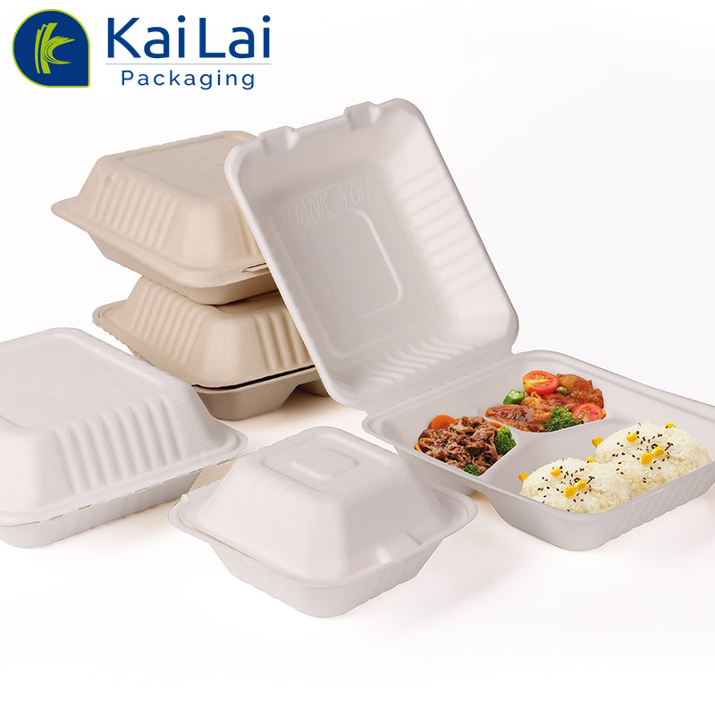 Biodegradable 6X6 Take out Food Containers with Clamshell Hinged Lid  Microwaveable Disposable Takeout Box Great for Restaurant Carryout or Party  Take Home Boxes - China Lunch Box, Packaging Box