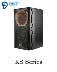 Good quality hot sales 10 inch 2 way karaoke speaker for ktv karaoke room and night club