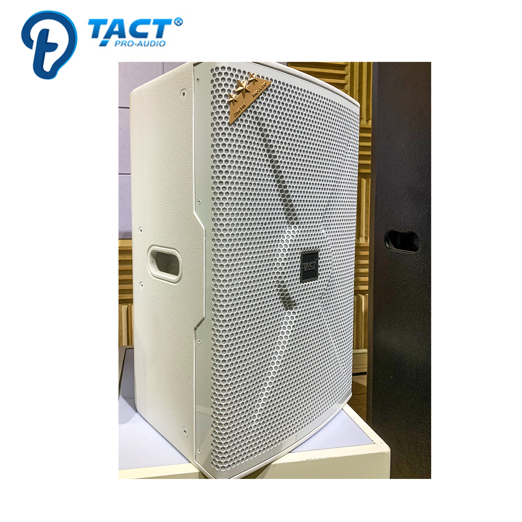 Professional high quality 10 inch 2 way full range speaker DJ sound speaker for Audio music equipment