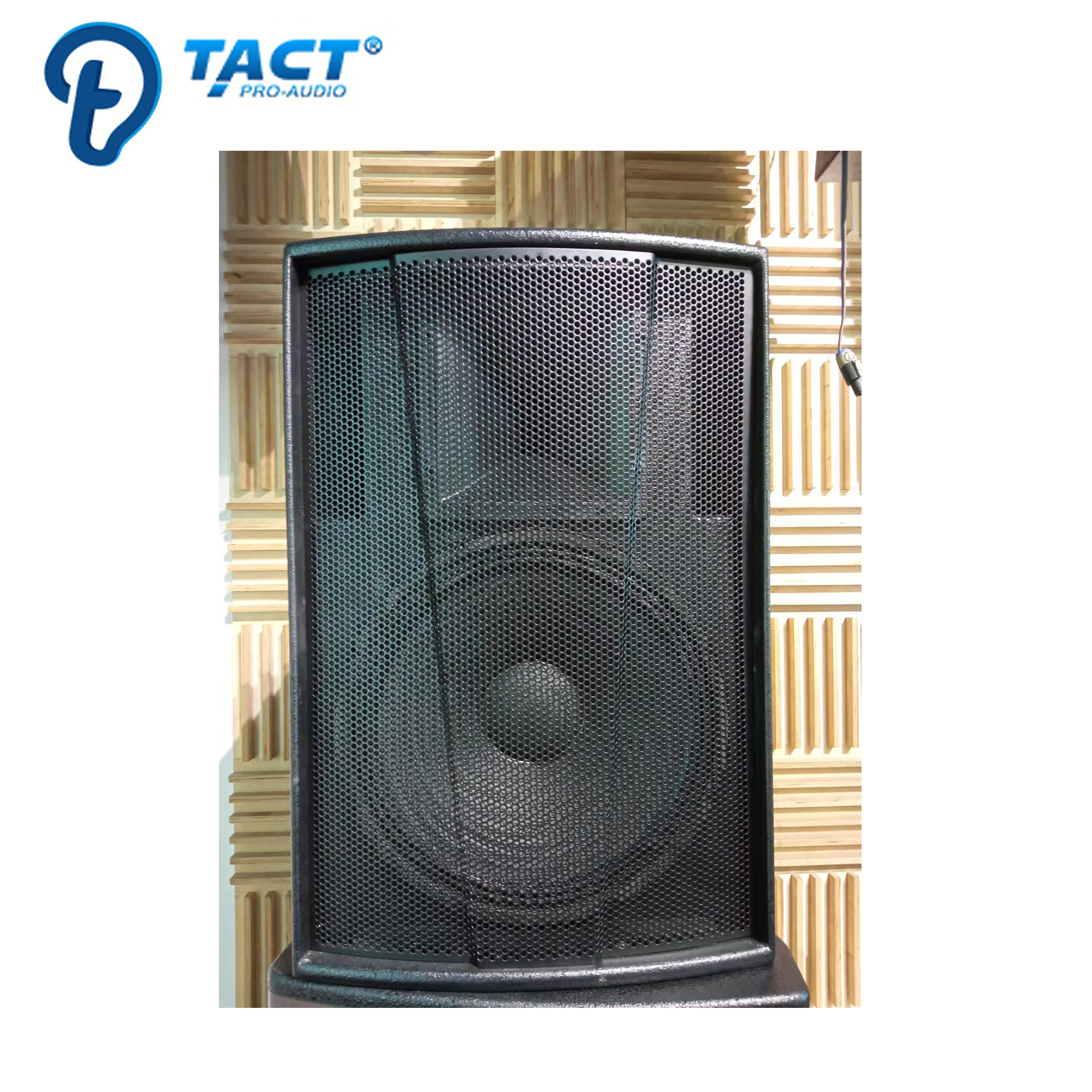 2 Tact TACT - Professional audio single 15 inch outdoor pa dj speaker sound ...
