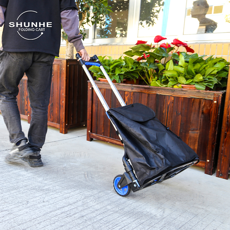 Hot Sale Aluminum Luggage Cart Easy Carry Folding Hand Truck