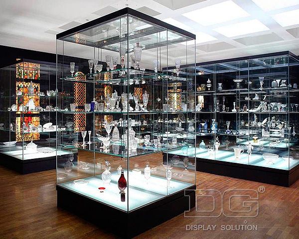 DG Showcase Museum Glass Display Cabinet History Showcase Interior ...