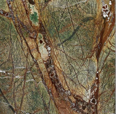 Fabricant de carreaux et dalles de marbre importé de qualité supérieure, vert forêt tropicale | First Stone
